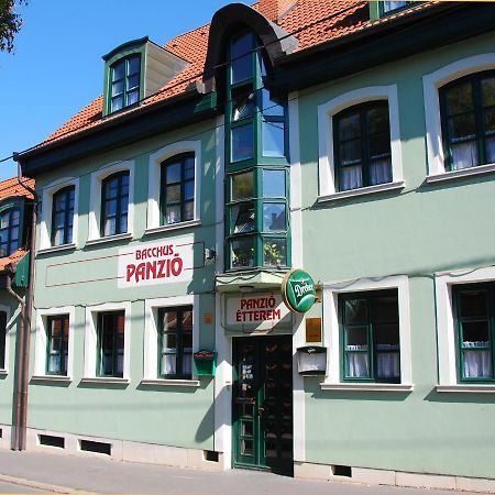 Bacchus Panzio Bed & Breakfast Eger Exterior photo
